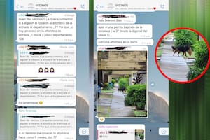 Contó en el chat del edificio que le robaron la alfombra de la entrada y una vecina desenmascaró al culpable.
