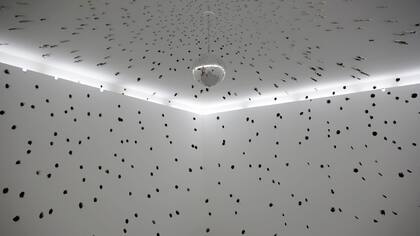 CONTRADICCIONES. Still song, 2005