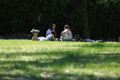 ConTribuIr es un programa intercolegial de tres días que busca responder a problemáticas como la soledad y la crisis de salud mental