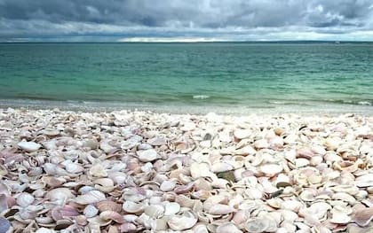 Conviene llevar un calzado cómodo para poder caminar sobre los caracoles y conchillas de la orilla