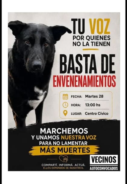 Convocatoria para marchar en Bolívar