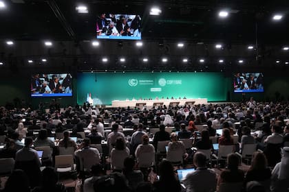 Sesión plenaria de la COP28 en Dubái (AP Photo/Kamran Jebreili)