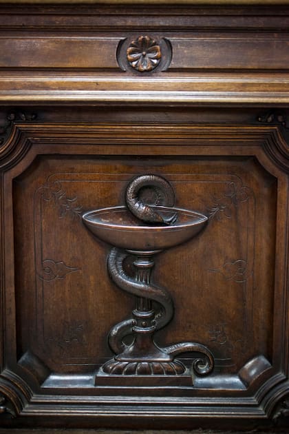 Copa de Higía, símbolo de la farmacia.