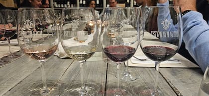 Copas listas para la degustación en Estancia Vigil