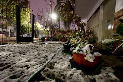 Los jardines tapados por la nieve