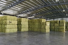Momento histórico: se exportaron casi 170.000 toneladas de un cultivo muy demandado en Medio Oriente y Asia