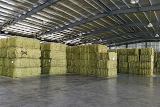 Se exportaron casi 170.000 toneladas de un cultivo muy demandado en Medio Oriente y Asia