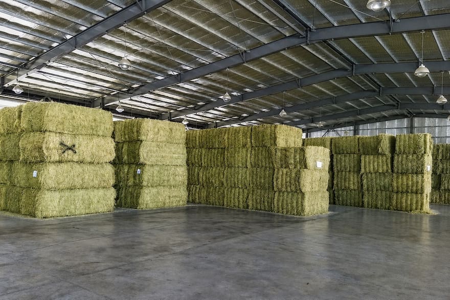Momento histórico: se exportaron casi 170.000 toneladas de un cultivo muy demandado en Medio Oriente y Asia Momento histórico: se exportaron casi 170.000 toneladas de un cultivo muy demandado en Medio Oriente y Asia