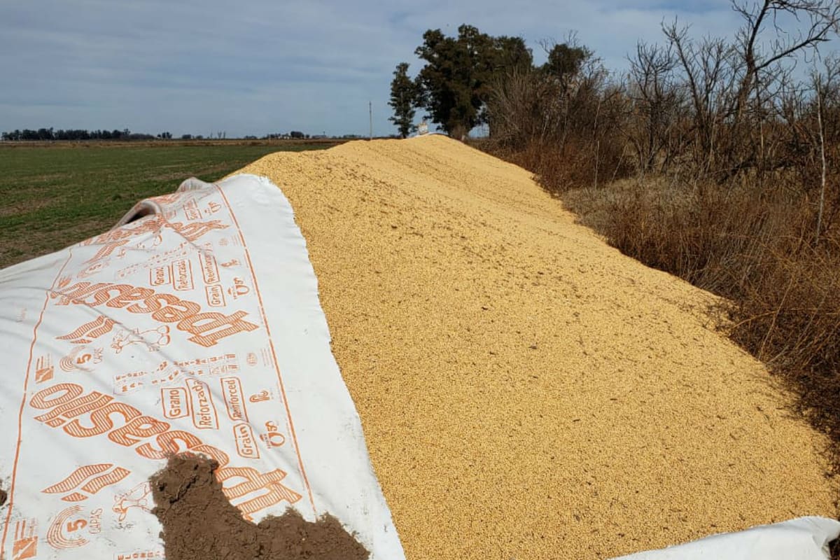 Còrdoba. El silobolsa roto en Canals a Lisandro Peiretti
