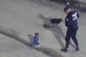 Córdoba: en plena madrugada, un bebé de un año salió gateando de su casa hasta que lo encontró la Policía