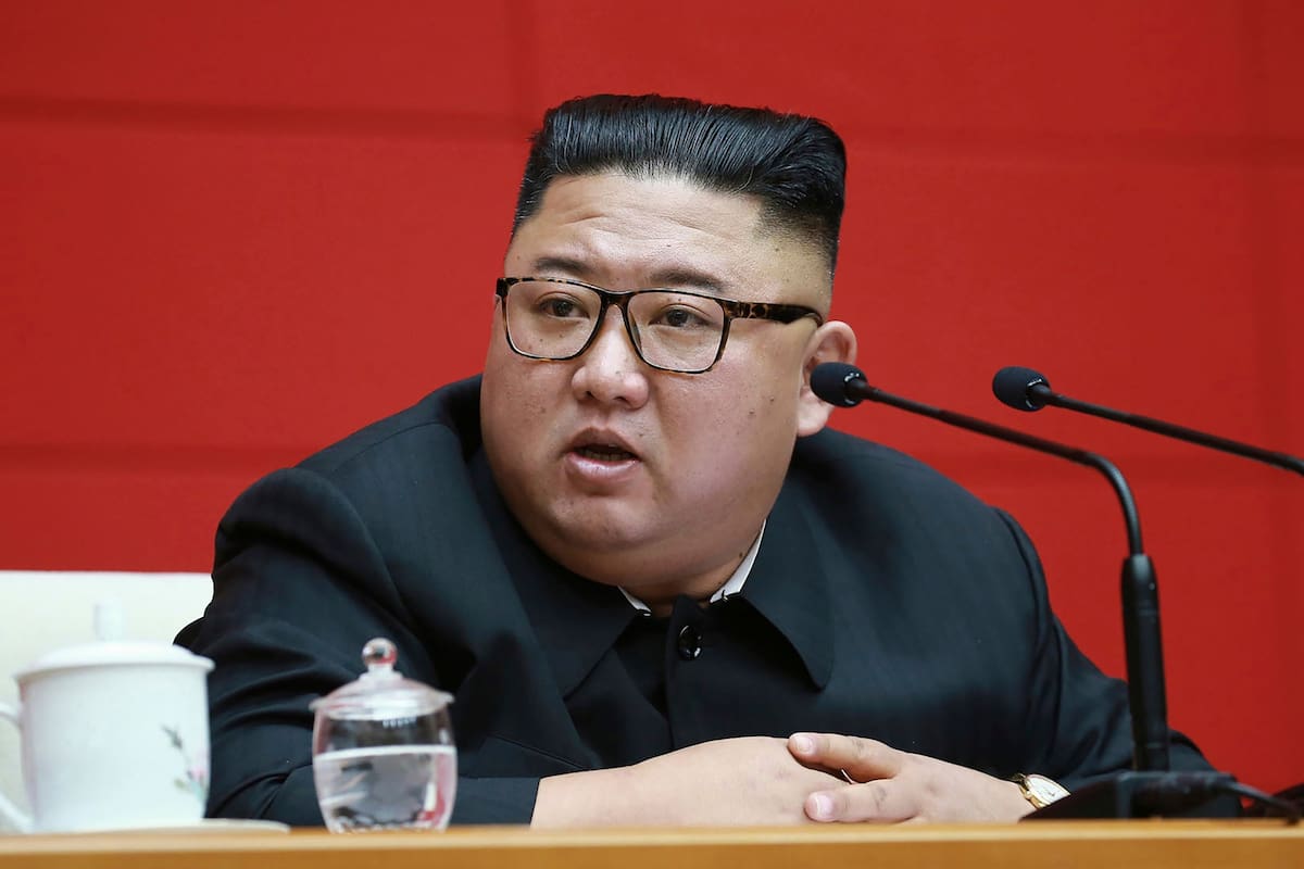Corea del Norte: Kim ordena entregar a los perros para que sean comidos