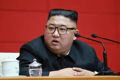 Corea del Norte: Kim ordena entregar a los perros para que sean comidos