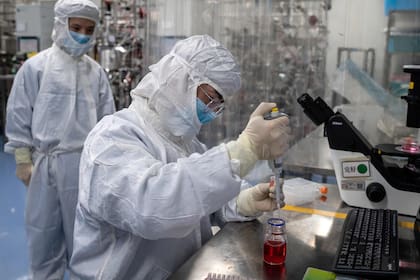 La variante original del virus ha sido sustituida en prácticamente todo el mundo por otra con una mutación característica.