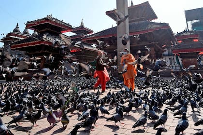 Dos mujeres alimentan cientos de palomas en una plaza de Katmandú, Nepal