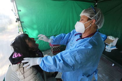 Coronavirus en Argentina: casos en Antofagasta De La Sierra, Catamarca al 20 de junio
