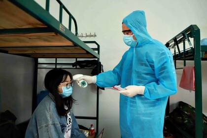 Coronavirus en Chile hoy: cuántos casos se registran al 20 de Noviembre