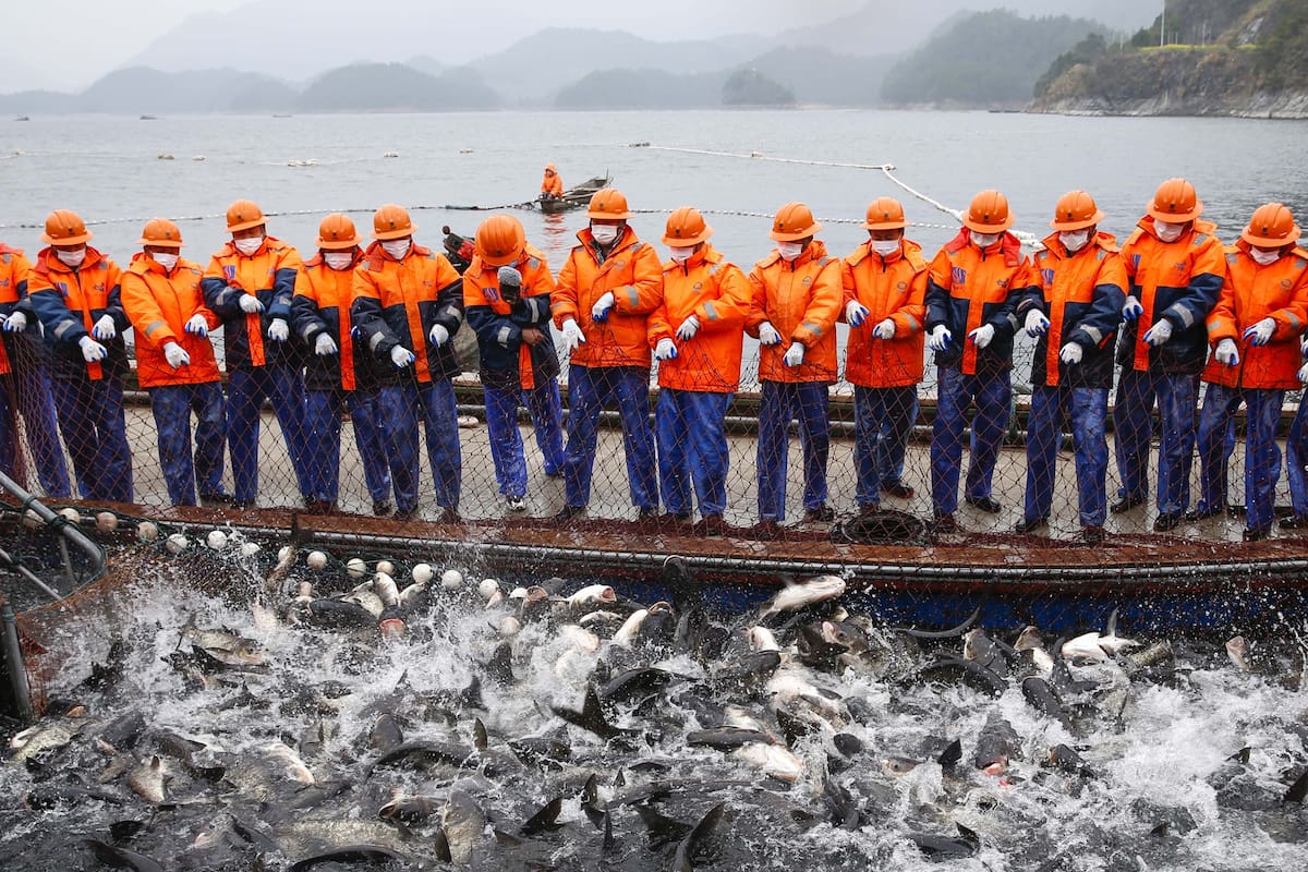 Coronavirus en el mundo