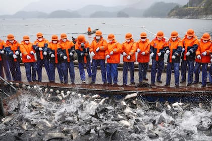 Coronavirus en el mundo