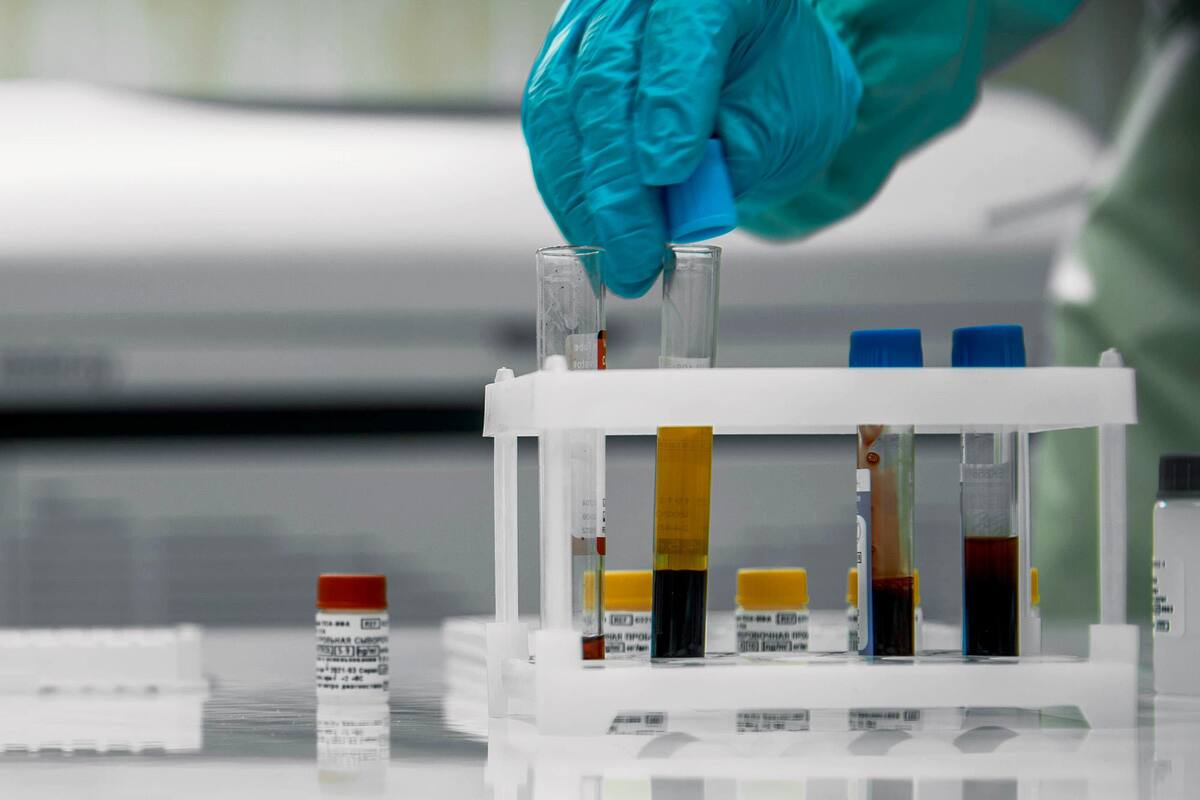 Coronavirus en Estados Unidos hoy: se recuperaron 366.736 pacientes al 25 de mayo