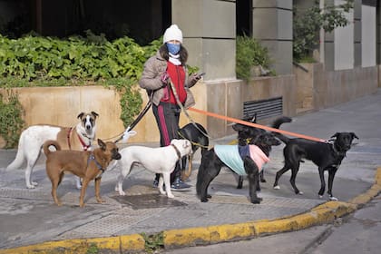Los paseadores de perros podrán volver a trabajar el próximo fin de semana, de acuerdo al plan de reapertura comercial que elaboró el gobierno