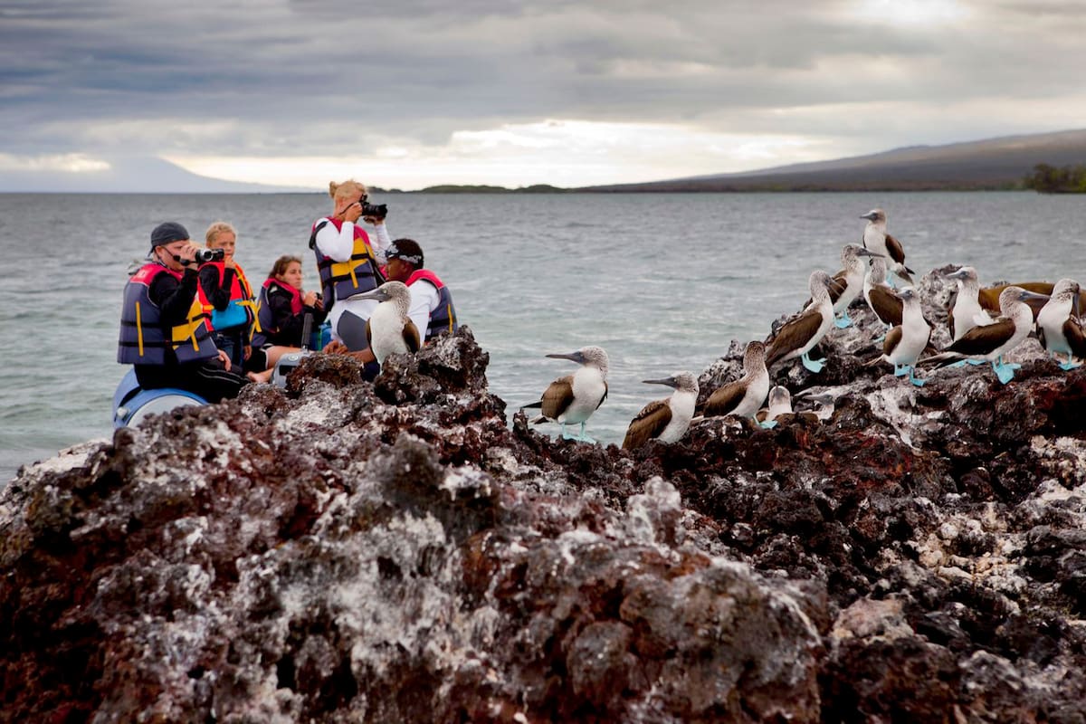 Coronavirus. Galápagos: la joya de la corona no da de comer