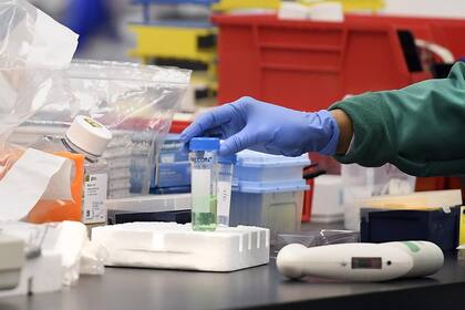 Coronavirus hoy en Italia: cuántos casos se registran al 2 de Abril