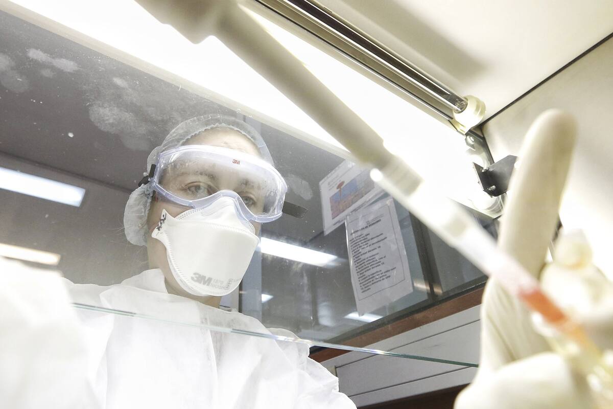 Coronavirus hoy en la Argentina y el mundo: minuto a minuto y las novedades del 28 de junio