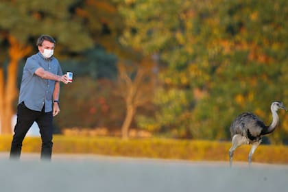 Coronavirus. Jair Bolsonaro muestra una caja de cloroquina