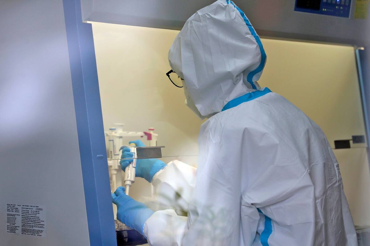 Coronavirus: la OMS espera vacuna 2020