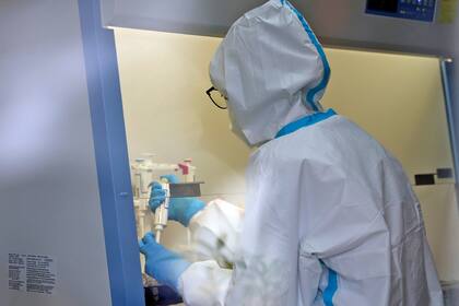 Coronavirus: la OMS espera vacuna 2020