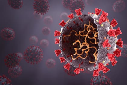 Los expertos señalan que la JN.1, nueva variante del coronavirus, es altamente contagiosa