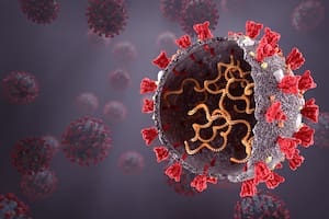Coronavirus; SARS CoV 2; Covid-19; variante delta; salud; sociedad