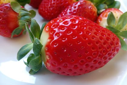 Coronda es la región por excelencia de producción, ahora afectada por las heladas