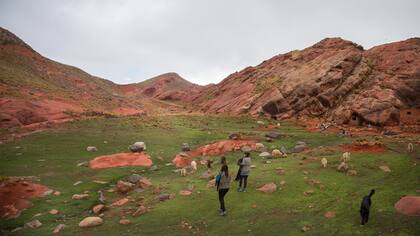 Corral Colorado es uno de los pocos puestos que queda en la sierra del Famatina