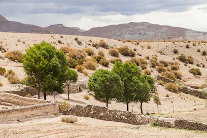 Corrales de piedra para contener los animales.