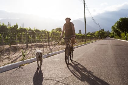 Correa corta o correa larga: cuál es la más conveniente para pasear a un perro