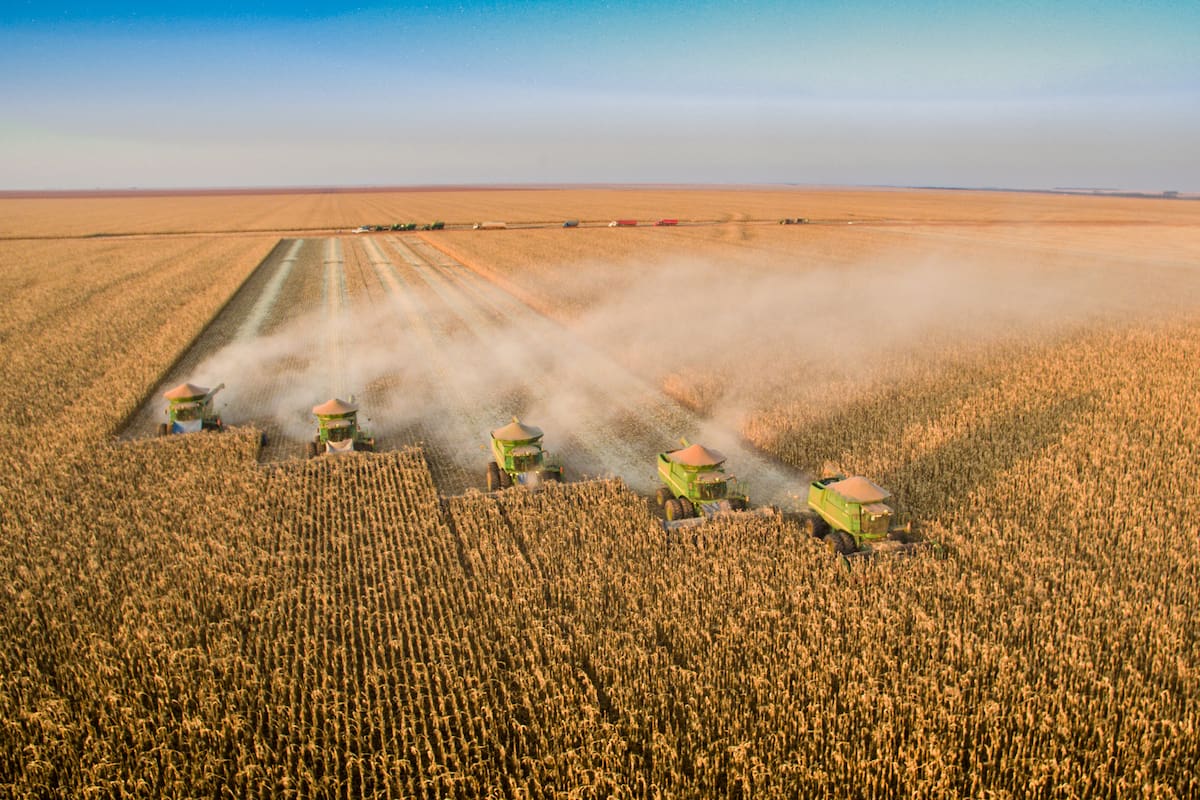 Correntina, Bahia, Brazil, February 26, 2019: Agriculture - Beautiful aerial image with several machines harvesting corn in the open field with beautiful blue sky - Agribusiness.
