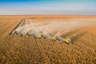 La paradoja de la soja argentina: entre la abundancia y la falta de estrategia