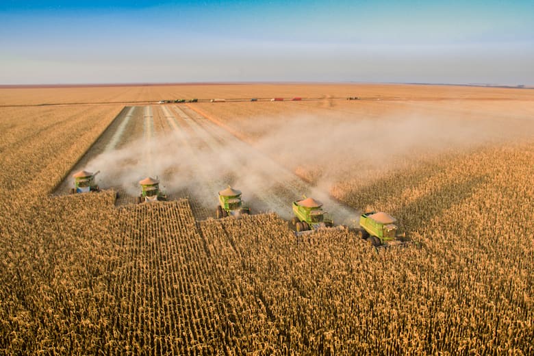 Zani destaca el potencial de Argentina para atraer capitales