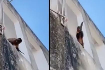 Corría con un cuchillo afilado por los techos del barrio