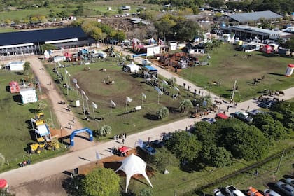 Corrientes fue epicentro de la ganadería nacional con más de 1000 animales en pista y siete remates en cinco días