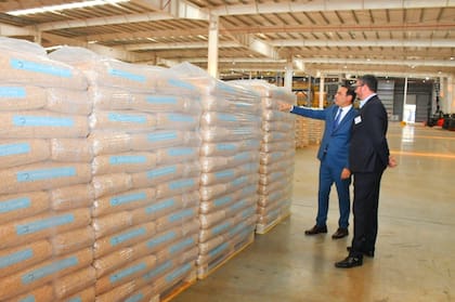“Corrientes tiene 550.000 hectáreas forestadas, pero puede forestar dos millones de hectáreas más”, dijo Valdés. En esta foto, el gobernador con Airy De Murga