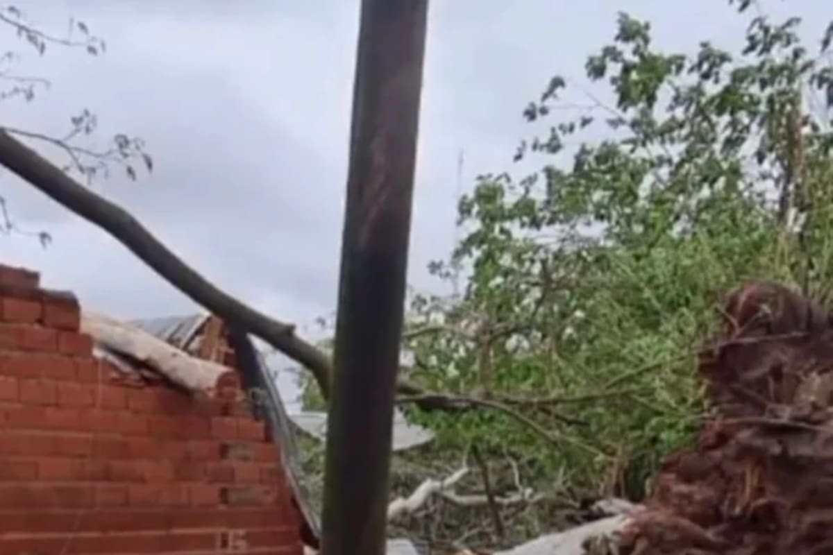 Corrientes: un árbol cayó en una vivienda y mató a una joven