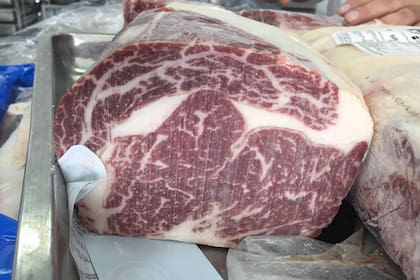 Cortes Angus para China