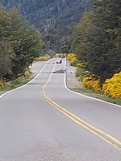 Cortes en la ruta 40
