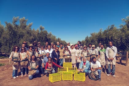 Cosecha Zuccardi, un encuentro que se hace doce años y que el mes pasado reunió a 45 artistas