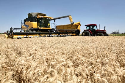 El incremento del combustible llega en plena cosecha de trigo