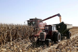 Tras el envión de las exposiciones, la venta de maquinaria agrícola frenó en junio y el semestre quedó levemente por debajo de 2025