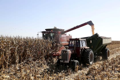 De maíz en abril pasado se anotaron DJVE por 4,6 millones de toneladas, el volumen más elevado desde noviembre de 2019