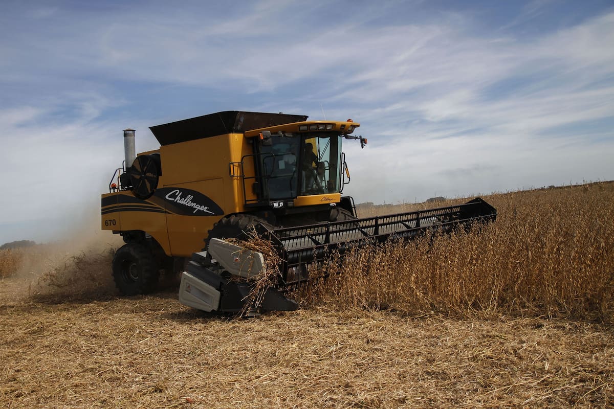 cosecha de soja
ameghino provincia de buenos aires
_Augusto Famulari